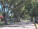 A tree lined street showing multiple homes, cars, and beautiful foliage at 4420 Sawgrass Blvd, New Port Richey, FL 34653