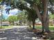 Scenic neighborhood street with mature trees enhancing the area's appeal and providing shade at 4420 Sawgrass Blvd, New Port Richey, FL 34653