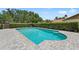 Backyard swimming pool surrounded by a neatly trimmed hedge and stone pavers at 5502 Bluejay Ln, Tampa, FL 33625