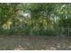 A chain-link fence defines the property line with natural landscaping in the backyard at 9195 Bay Dr, Spring Hill, FL 34608