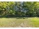 Wooded backyard featuring green grass, trees and shrubs behind a chain link fence at 9195 Bay Dr, Spring Hill, FL 34608