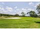 Picturesque view of the beautifully landscaped golf course at 1009 Almondwood Dr, Trinity, FL 34655