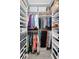 Organized walk-in closet with shelving and hanging racks, ideal for wardrobe storage and accessibility at 1009 Almondwood Dr, Trinity, FL 34655