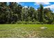 Lush green backyard with mature trees, offering privacy and a natural landscape at 11101 Ragsdale Ct, New Port Richey, FL 34654