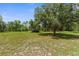 A large yard with mature trees provides plenty of space for enjoying the outdoors at 14645 Spellman Ct, Spring Hill, FL 34610