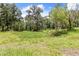 Picturesque backyard with mature trees and sprawling grass at 22850 Skyview Cir, Brooksville, FL 34602