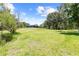 Expansive backyard featuring a large grassy area and a beautiful blue house in the distance at 22850 Skyview Cir, Brooksville, FL 34602