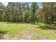 Lush backyard with mature trees and a carpet of grass at 22850 Skyview Cir, Brooksville, FL 34602