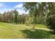 Expansive backyard with lush greenery and scattered trees at 22850 Skyview Cir, Brooksville, FL 34602
