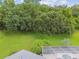 View of the backyard and pool area, highlighting the serene, treed property line at 2519 Shipston Ave, New Port Richey, FL 34655