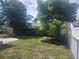 Green backyard featuring lush trees, chain link fencing, and landscaping at 7338 Foxbloom Dr, Port Richey, FL 34668