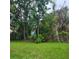 Large backyard, partially wooded, featuring lush green grass and mature trees at 8504 Lafitte Dr, Hudson, FL 34667