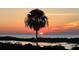 Enjoy tranquil sunsets over the water from the community's beautiful vantage point at 8504 Lafitte Dr, Hudson, FL 34667