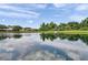 Scenic view of the pond, reflecting the sky, framed by lush greenery, creating a peaceful and calming atmosphere at 9309 Edistro Pl, New Port Richey, FL 34654