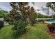 Serene backyard with green grass and landscaping complementing the pool area at 9704 Milano Dr, Trinity, FL 34655