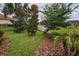 Lush backyard featuring a well-maintained lawn, young trees, and a manicured garden at 9704 Milano Dr, Trinity, FL 34655