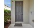 Close up of the entryway with a grey door, concrete landing and landscaped bushes at 9706 Simeon Dr, Land O Lakes, FL 34638
