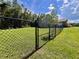 Spacious, green backyard enclosed with a black chain-link fence for privacy at 10060 Chip Ln, New Port Richey, FL 34654