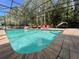 Enclosed screened-in pool with clear water, brick pavers, lounge chairs, and forest views at 10060 Chip Ln, New Port Richey, FL 34654