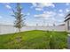 Well-maintained backyard with healthy green grass and a white vinyl fence at 11395 Lavender Loop, Spring Hill, FL 34609