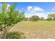 View of the expansive backyard with large mature tree and a storage shed at 13180 Montour St, Brooksville, FL 34613