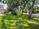 Lush front yard featuring mature trees and a well-maintained lawn at 20971 Negril Ct, Lutz, FL 33558