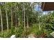 Backyard featuring lush landscaping, mature trees, and a stone path among green foliage at 2202 Amity Ct, New Port Richey, FL 34655