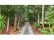 Long private driveway lined with lush trees and landscaping leading to the charming home at 2202 Amity Ct, New Port Richey, FL 34655