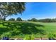 Scenic backyard with a lush green lawn, mature trees, and serene atmosphere under a clear blue sky at 2275 Terrace View Ln, Spring Hill, FL 34606