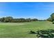 Scenic golf course view featuring a well-maintained green and lush landscaping, offering a serene and picturesque setting at 2275 Terrace View Ln, Spring Hill, FL 34606