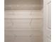 Walk-in closet with metal shelves, carpet flooring, and neutral wall paint at 2414 San Luis Rd, Holiday, FL 34691