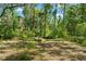 Wooded lot with open space in the backyard offers privacy at 25487 Dan Brown Hill Rd, Brooksville, FL 34602