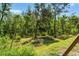 Large backyard in a wooded setting offers plenty of privacy at 25487 Dan Brown Hill Rd, Brooksville, FL 34602