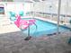Inviting screened-in pool featuring a vibrant flamingo float and comfortable seating for a refreshing outdoor experience at 3336 Gulfview Dr, Hernando Beach, FL 34607