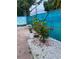 A landscaped backyard with rock groundcover, pavers, a blue fence and potted plants at 3530 Beechwood N Ter, Pinellas Park, FL 33781