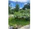 A lush front yard adorned with tropical plants, enhancing curb appeal at 3530 Beechwood N Ter, Pinellas Park, FL 33781