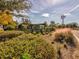 Community garden featuring a windmill and raised garden beds, fostering a green and social environment at 3897 Villamore Ln, Odessa, FL 33556