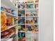 Walk-in pantry features generous shelving for organized kitchen storage at 3897 Villamore Ln, Odessa, FL 33556