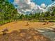 A fun playground with wood mulch and equipment for recreation at 3897 Villamore Ln, Odessa, FL 33556