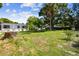 Spacious backyard with mature trees and a lush green lawn at 4007 S Renellie Dr, Tampa, FL 33611