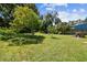 Spacious backyard with lush green lawn and mature trees, perfect for outdoor relaxation and activities at 4007 S Renellie Dr, Tampa, FL 33611