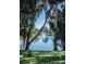 Scenic pond view featuring a fountain, lush green grass, and many trees at 4939 Floramar Ter # 812, New Port Richey, FL 34652