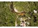 Scenic view of the property with trees and winding river at 6410 Amelia Ln, Dade City, FL 33523