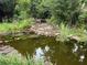 Beautiful pond with small waterfall surrounded by lush greenery and rocks at 7268 Crystal Spring Run, Weeki Wachee, FL 34607