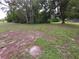 Large backyard with lush greenery offers ample space for outdoor activities and entertainment at 11263 Murraysville Dr, Spring Hill, FL 34609