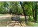 Tree swing hanging in the backyard, with view of firepit and home at 2111 Maximilian Ave, Spring Hill, FL 34609