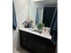 Modern bathroom with double vanity, black cabinets, and stylish black and white accents at 22289 Nebula Way, Land O Lakes, FL 34637
