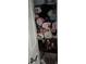 Closet filled with an assortment of soft blankets and textiles at 22289 Nebula Way, Land O Lakes, FL 34637