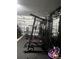 Finished home gym with various equipment and a mirror at 22289 Nebula Way, Land O Lakes, FL 34637