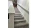 Carpeted staircase with white railing and flowers leading to upper level at 22289 Nebula Way, Land O Lakes, FL 34637